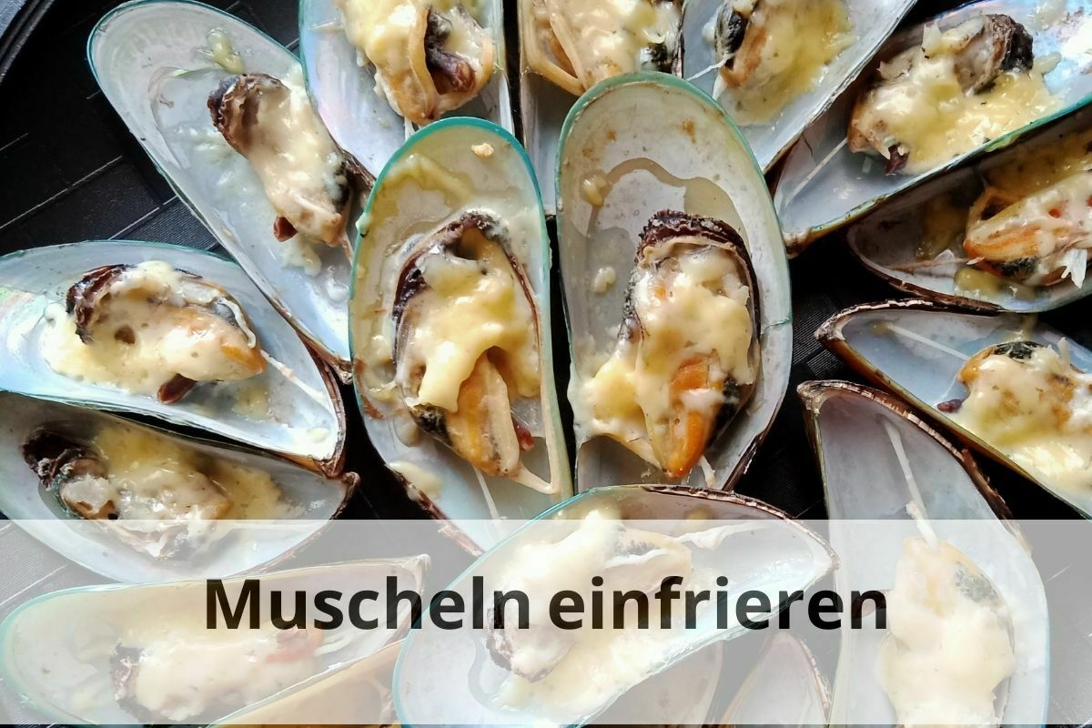 Gefrorene Muscheln Gehen Beim Kochen Nicht Auf Muscheln einfrieren: So geht's richtig | Einfrieren Tipps