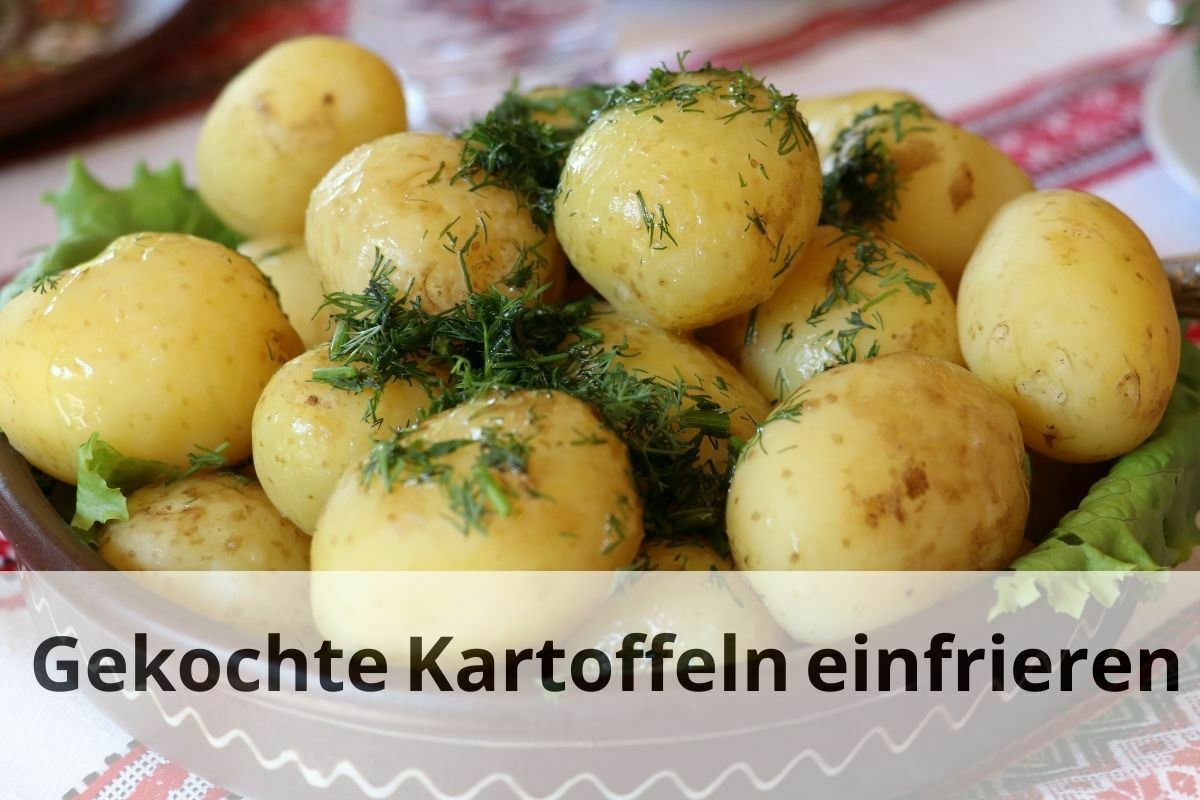 Gekochte Kartoffeln einfrieren Tipps und Tricks Einfrieren Tipps