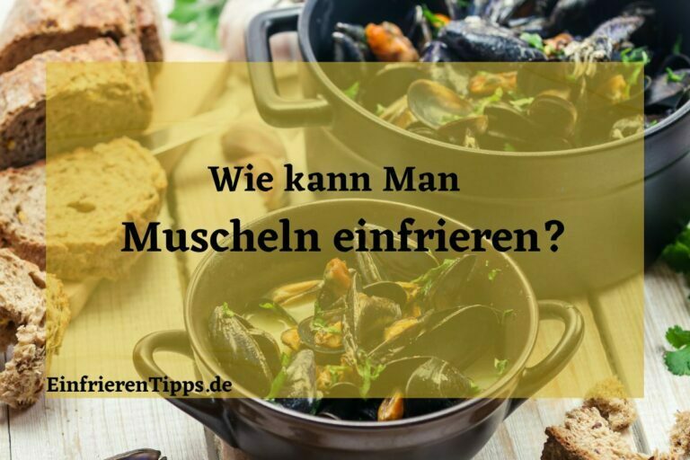 Muscheln einfrieren So geht