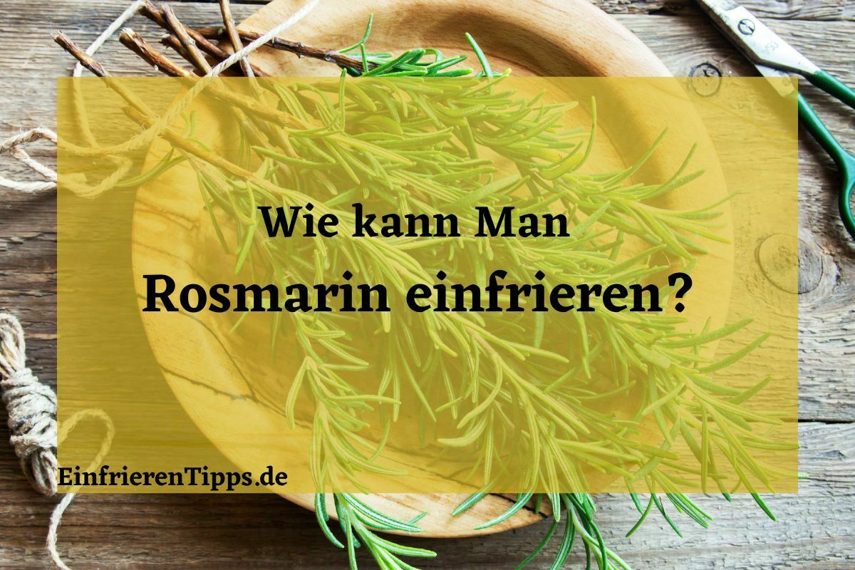 Frischen Rosmarin das ganze Jahr: So geht&amp;#39;s mit dem Einfrieren ...