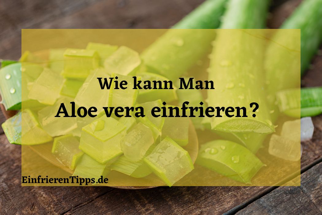 Aloe vera länger haltbar machen: Einfrieren als Option? | Einfrieren Tipps