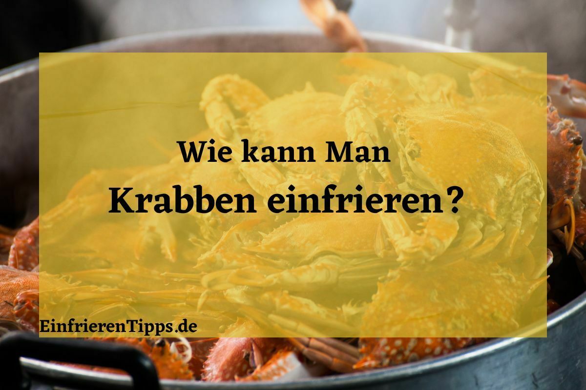 Räucherlachs richtig einfrieren - so geht's! | Einfrieren Tipps Räucherlachs richtig einfrieren - so geht's! | Einfrieren Tipps
