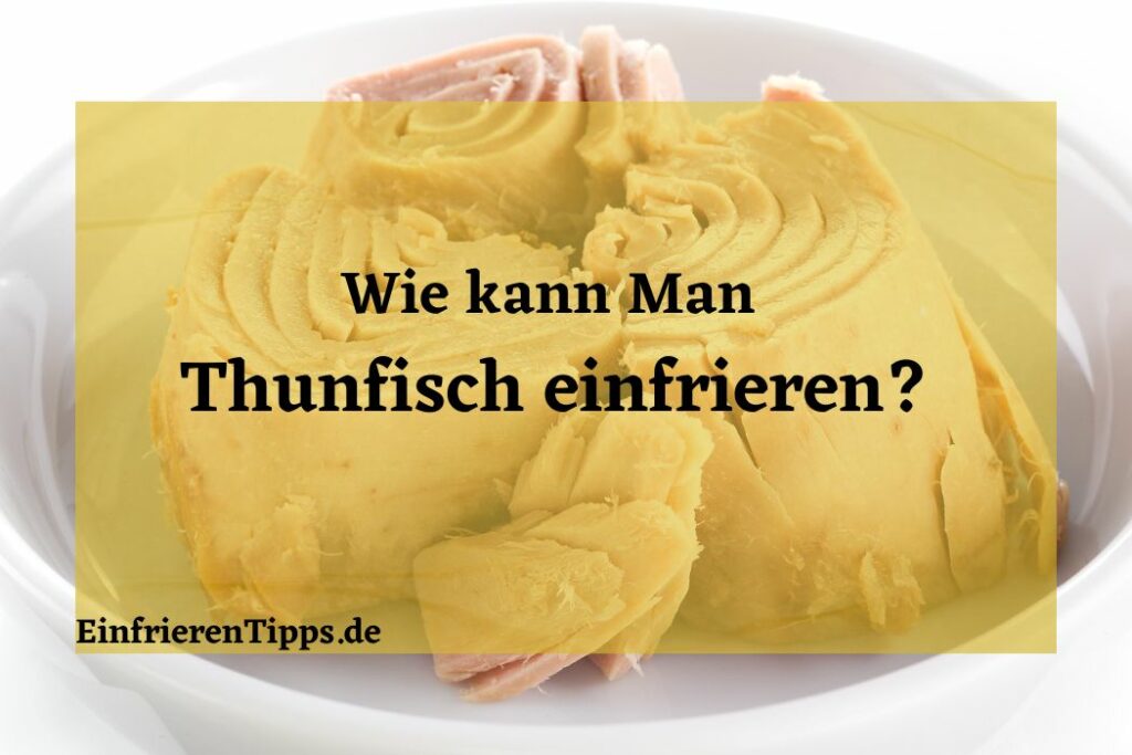 Thunfisch haltbar machen Tipps zum Einfrieren Einfrieren Tipps