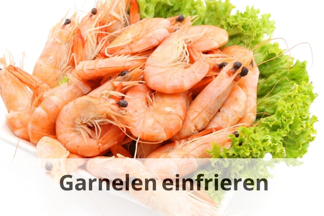 Garnelen einfrieren So machen Sie es richtig! Einfrieren Tipps