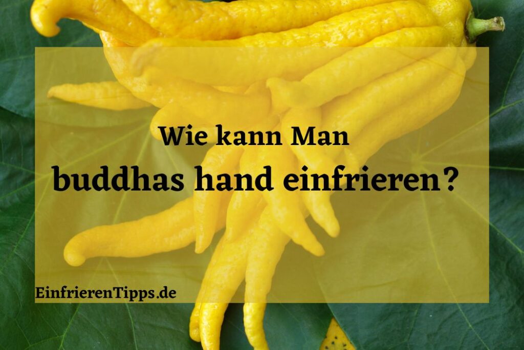 Silikon-Gefrierform Mit Deckel - Praktisches Tablett Für Suppen & Saucen