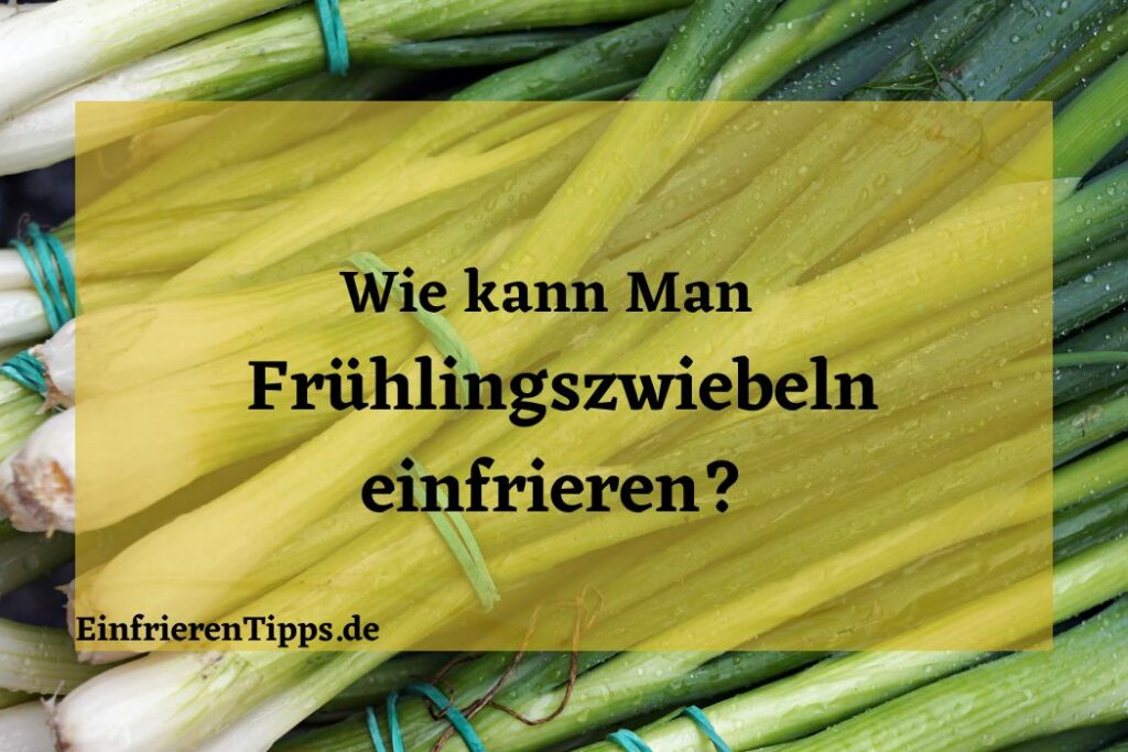 Gehackte Zwiebeln haltbar machen: Tipps zum Einfrieren | Einfrieren Tipps