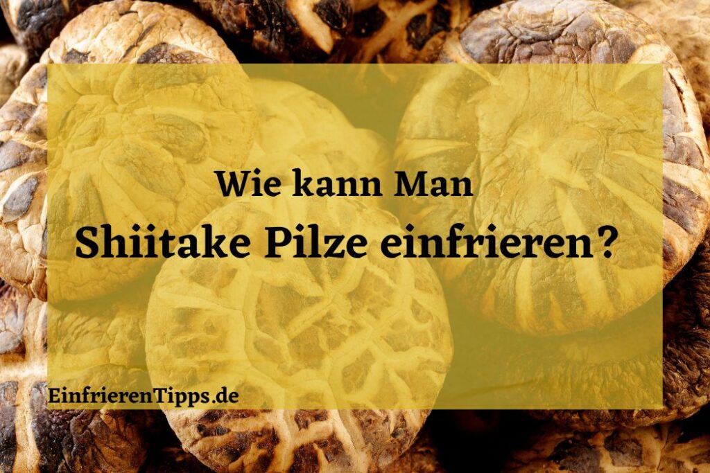 Nicht Verpassen! Nach Etlichen Verzögerungen: The Batman 2 Hat Drehtermin – Ihre Fragen Beantwortet! - 7mlmj3p