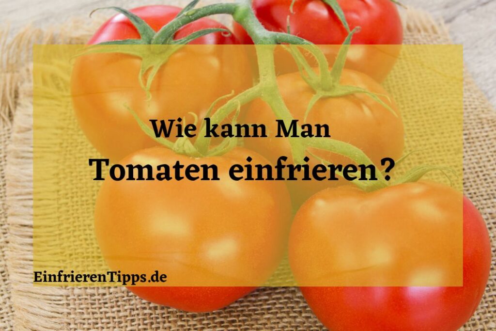 Sauerkraut einfrieren So bleibt es frisch und lecke Einfrieren Tipps