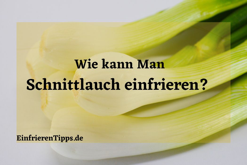Wie man Pesto richtig einfriert: Praktische Tipps 🍴 ️ | Einfrieren Tipps