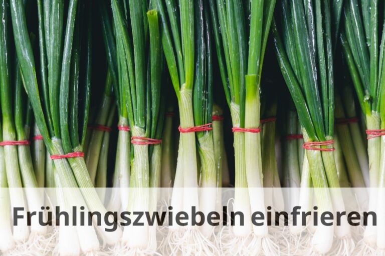 Künstliche Frühlingszwiebeln Daily - Super Realistisches Deko-Gemüse Für Küche & Wohnung