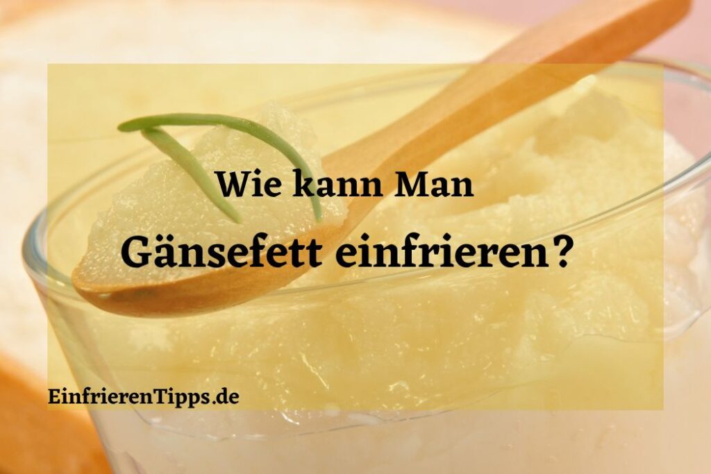 Immer fertiges Gulasch Einfrieren & später erwärmen Einfrieren Tipps