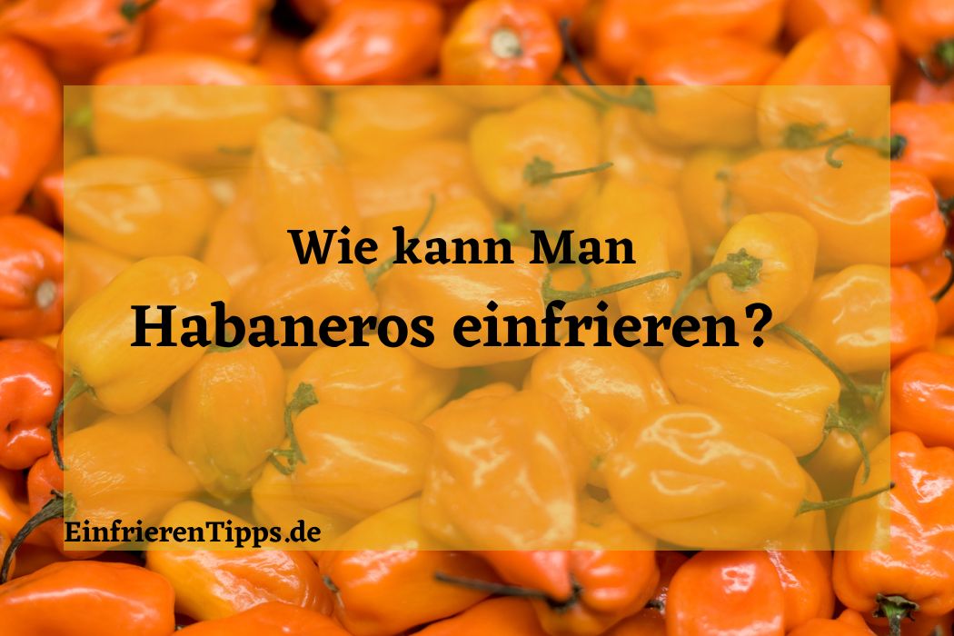 Alles über das Einfrieren von Krautsalat | Einfrieren Tipps