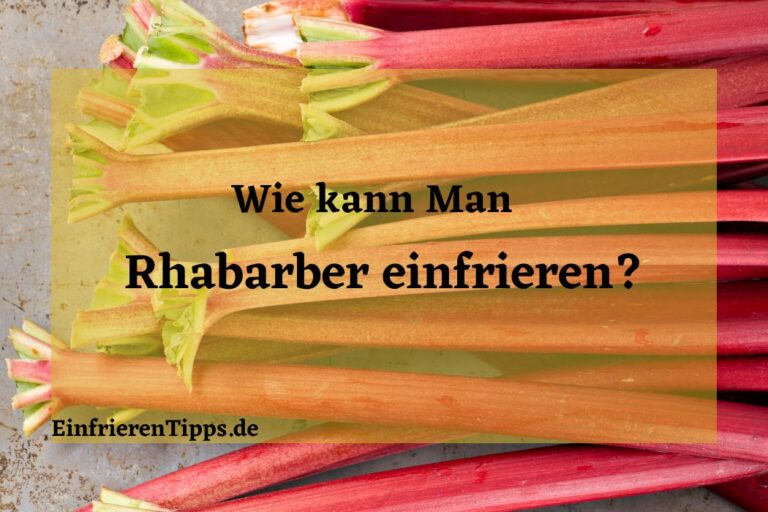 Einfrieren von Rhabarber Vorbereitung und Lagerung Einfrieren Tipps