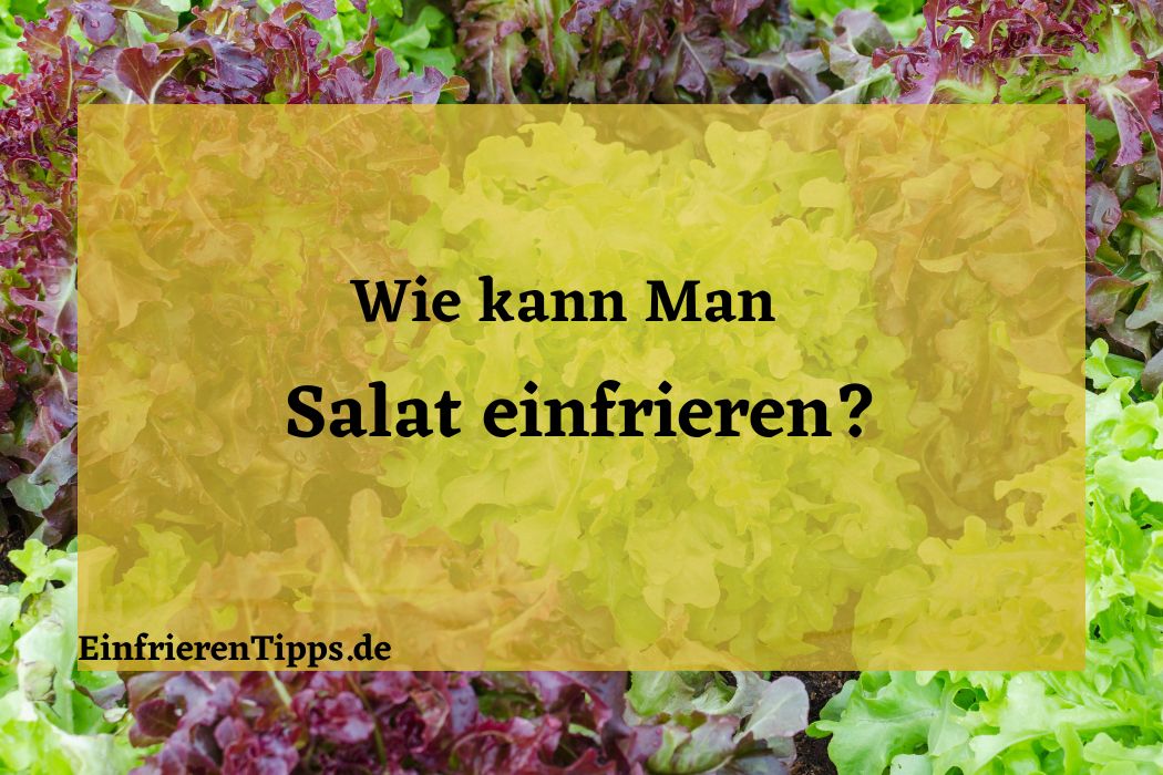 Frische bewahren: Kann man Salat einfrieren? | Einfrieren Tipps