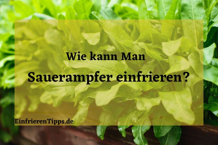 Frühlingszwiebeln einfrieren So geht