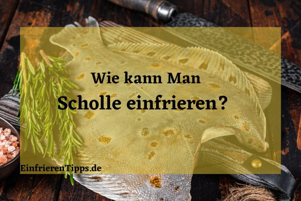 Immer fertiges Gulasch Einfrieren & später erwärmen Einfrieren Tipps