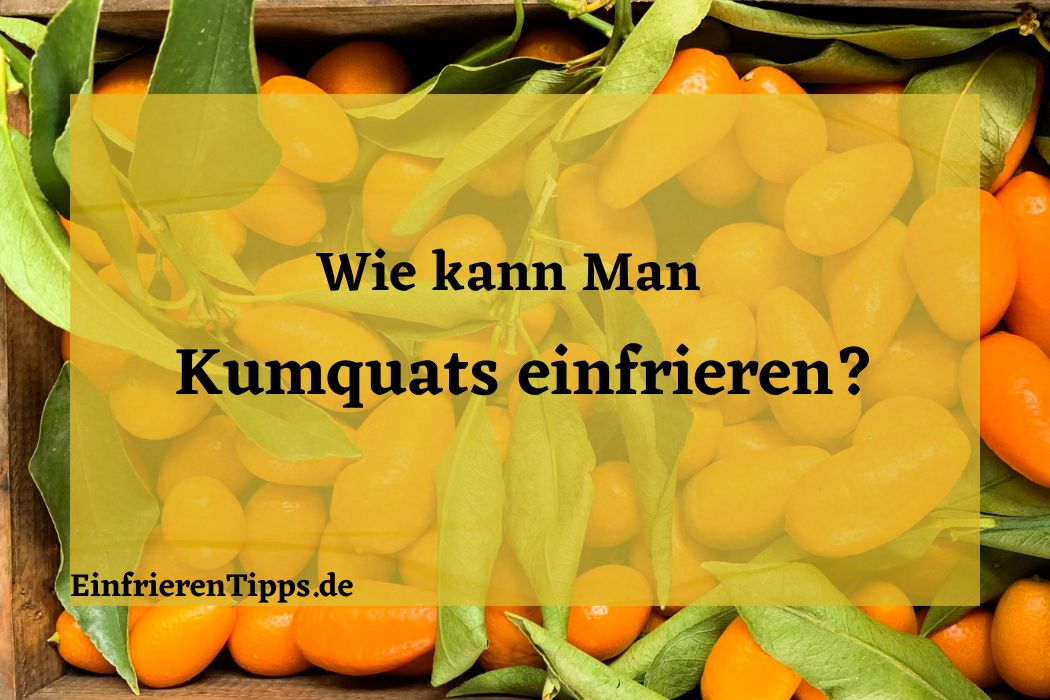 Kumquats einfrieren Frische Früchte für das ganze Jahr Einfrieren Tipps