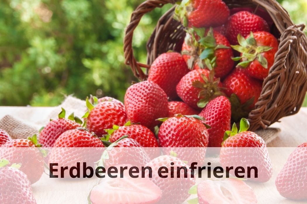 Erdbeeren Einfrieren Tipps und Tricks Einfrieren Tipps