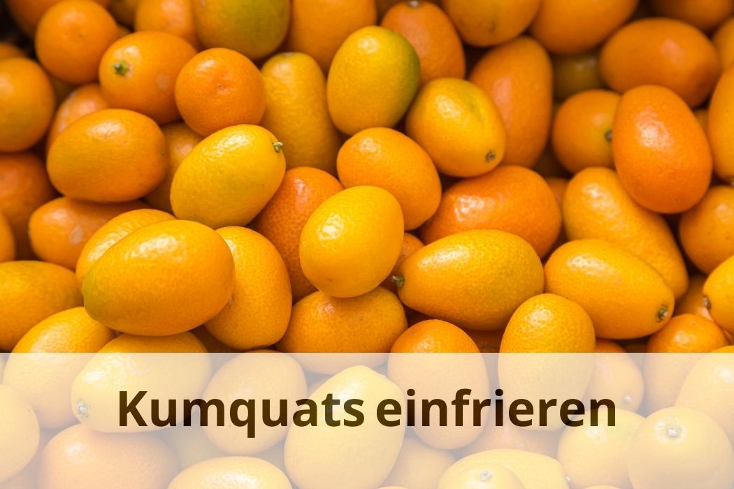Kumquats einfrieren Frische Früchte für das ganze Jahr Einfrieren Tipps