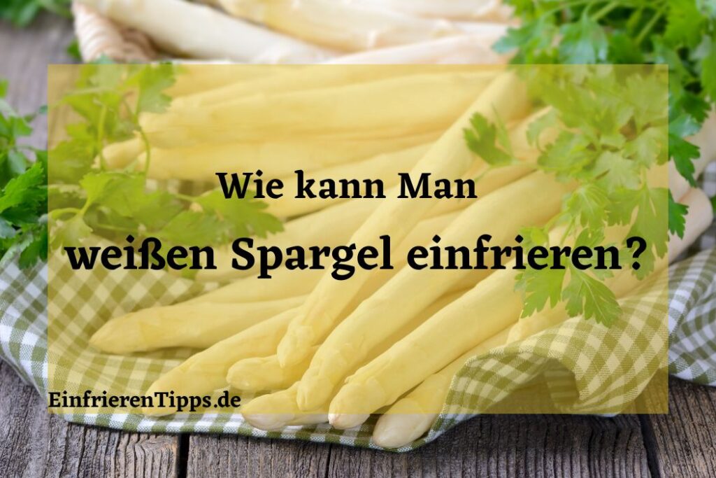 Sauerkraut einfrieren So bleibt es frisch und lecke Einfrieren Tipps