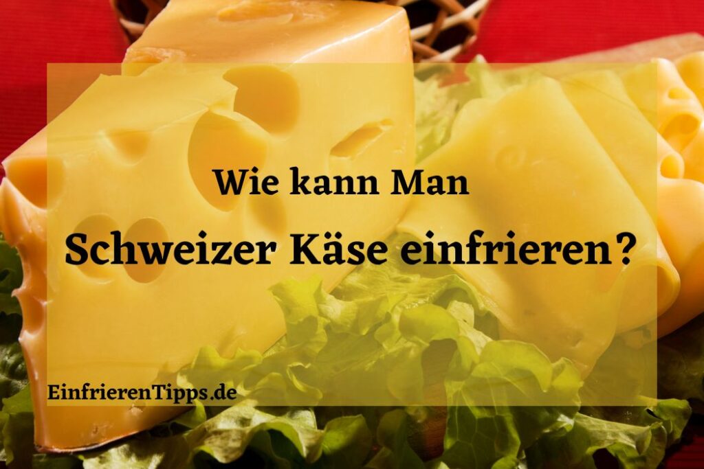 Schweizer Käse einfrieren? Tipps & 🧀 Tricks! Einfrieren Tipps