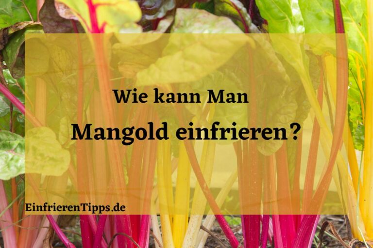 Gehackte Zwiebeln haltbar machen: Tipps zum Einfrieren | Einfrieren Tipps
