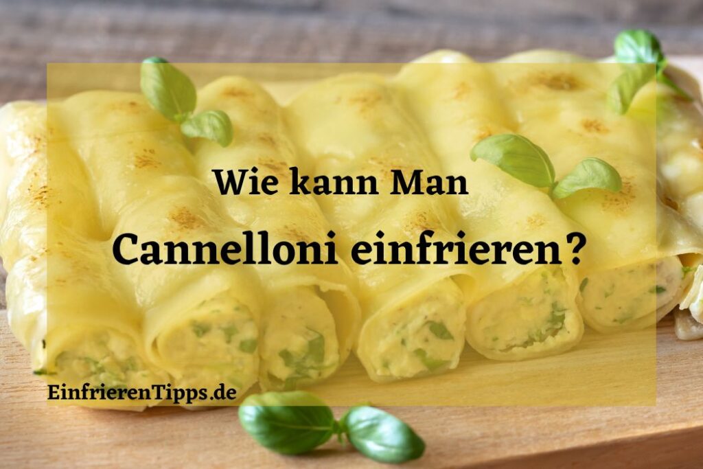 Spaghetti Bolognese einfrieren Tipps und Tricks! Einfrieren Tipps