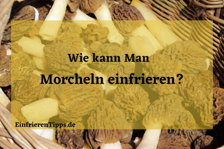 Frühlingszwiebeln einfrieren So geht