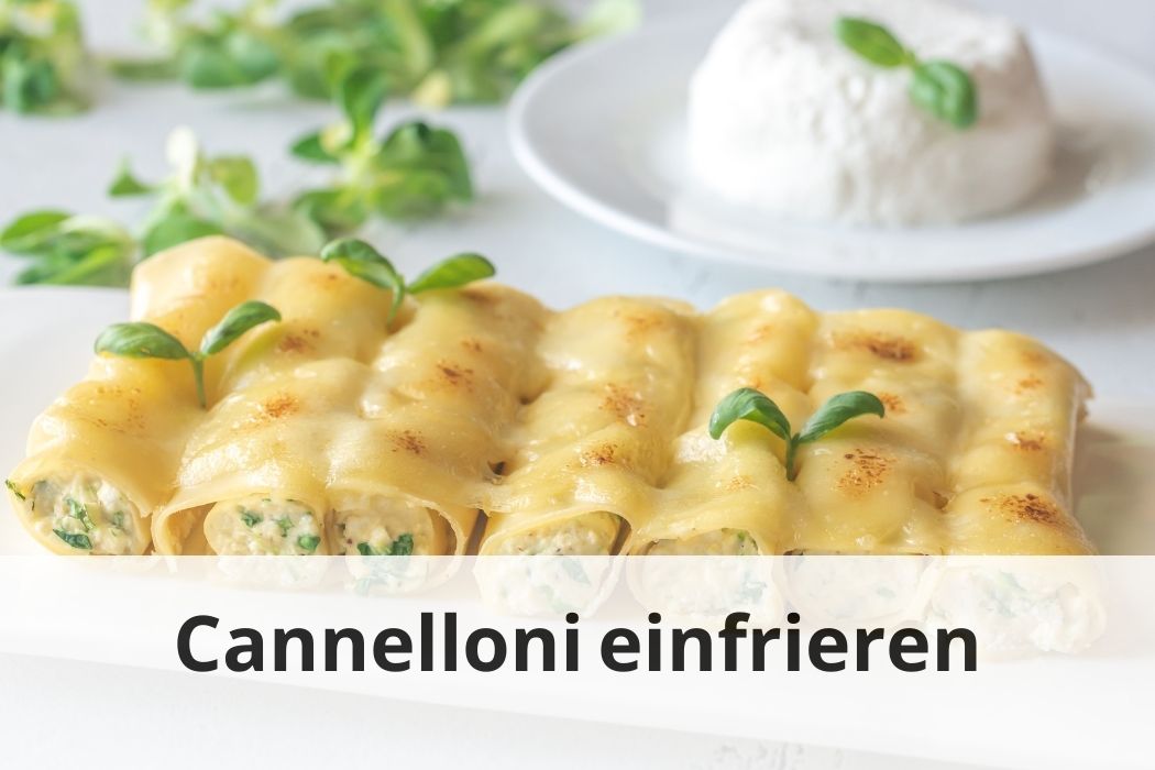 Kann man Cannelloni einfrieren? 🤔 Erfahren Sie mehr Einfrieren Tipps