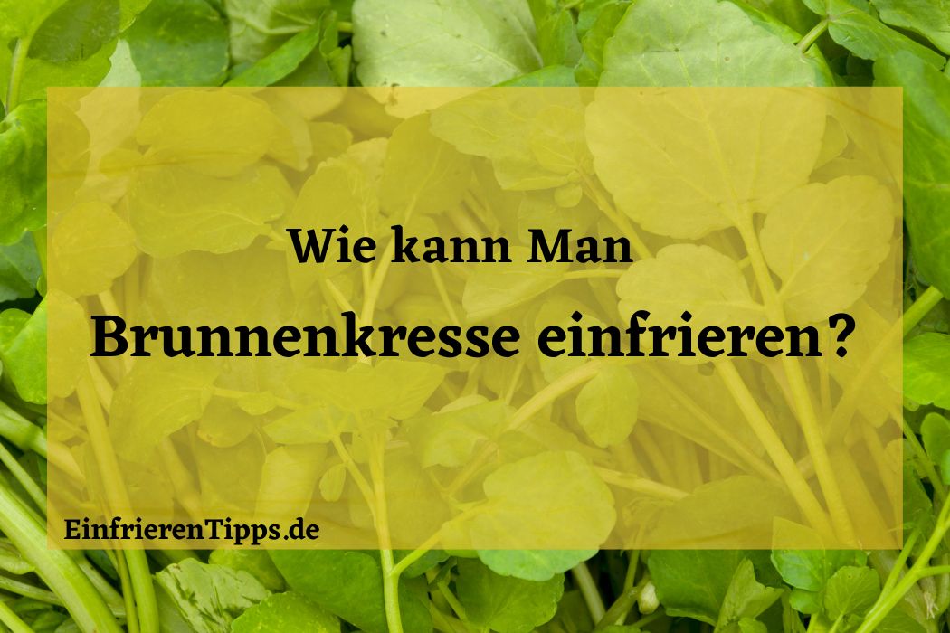 Kann man Brunnenkresse einfrieren? 🤔 Die Antwort hier! | Einfrieren Tipps