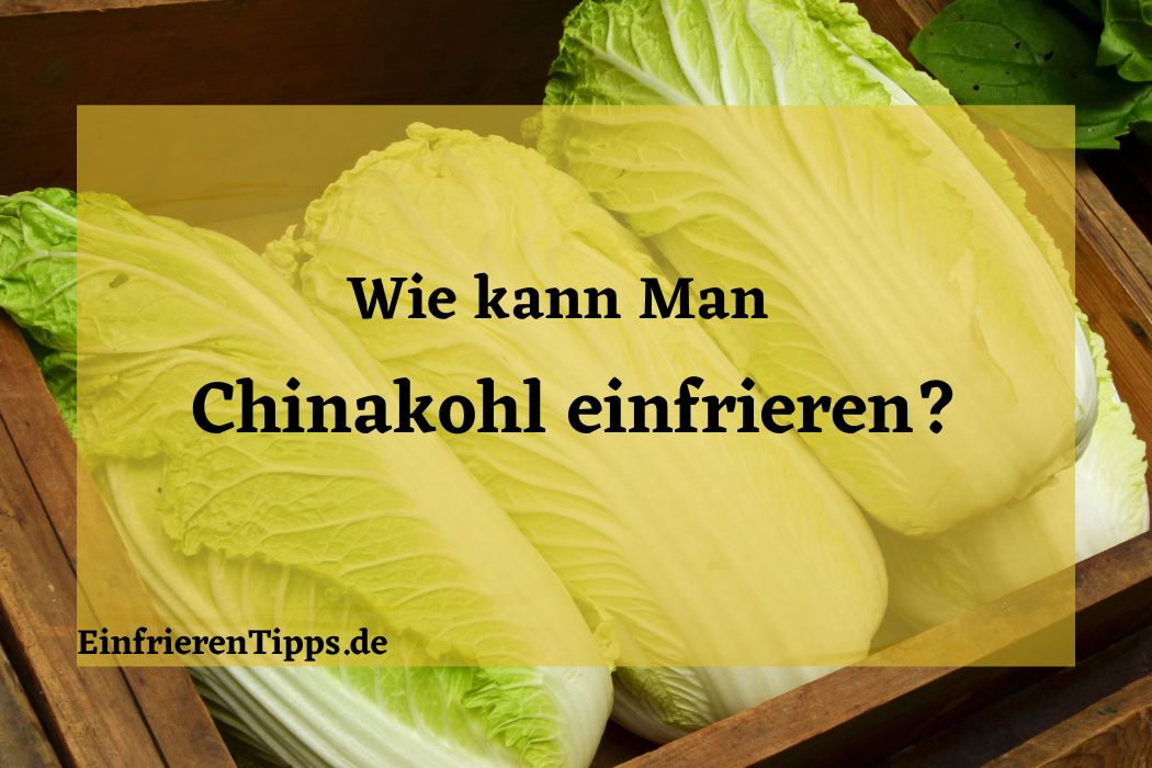 Sauerkraut einfrieren So bleibt es frisch und lecke Einfrieren Tipps
