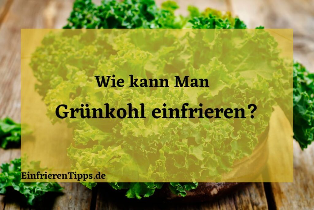 Sauerkraut einfrieren So bleibt es frisch und lecke Einfrieren Tipps