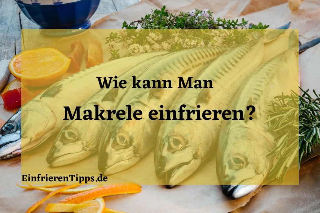 Makrele einfrieren 🐟 Tipps und Tricks für Frische Einfrieren Tipps