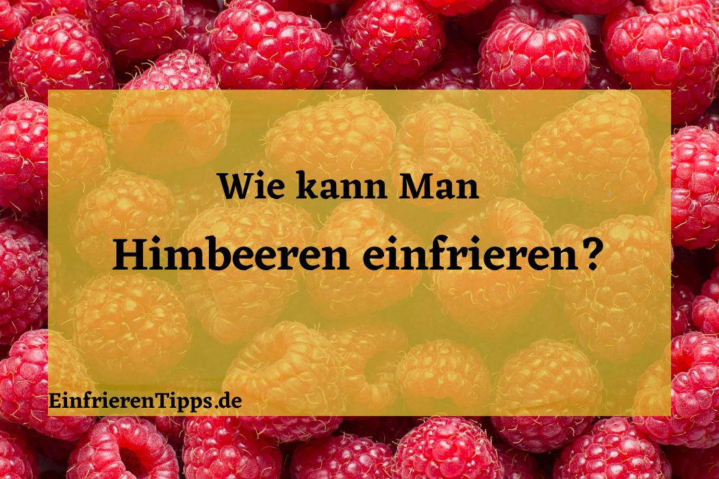 Himbeeren einfrieren wie ein Profi: Tipps und Tricks! | Einfrieren Tipps