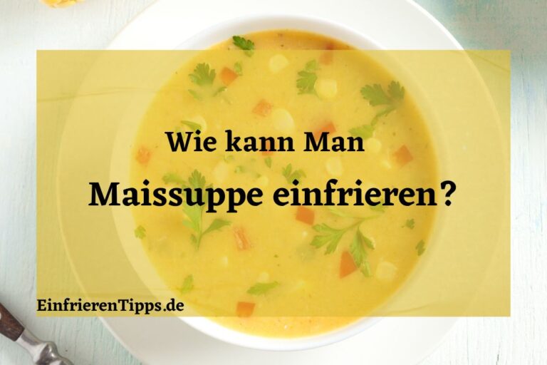 Kürbis einfrieren So funktioniert