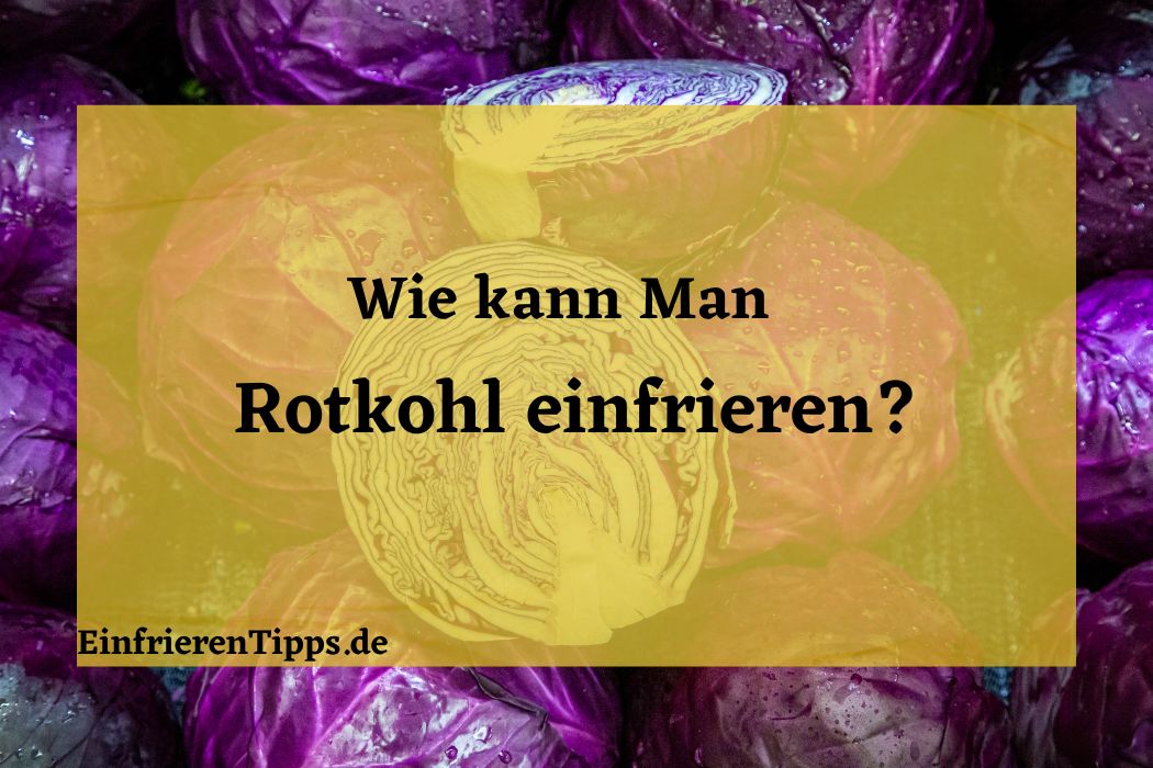 Rotkohl einfrieren: Tipps und Tricks für die Haltbarkeit | Einfrieren Tipps