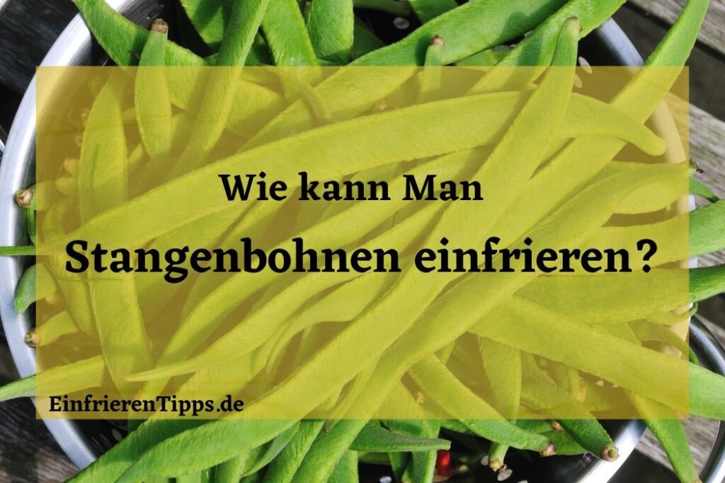 Karotten haltbar machen Einfrieren für längere Frische Einfrieren Tipps