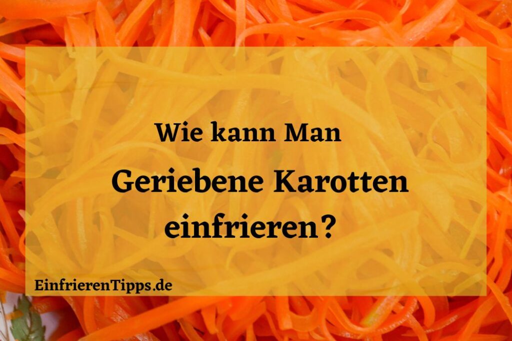 Sauerkraut einfrieren So bleibt es frisch und lecke Einfrieren Tipps