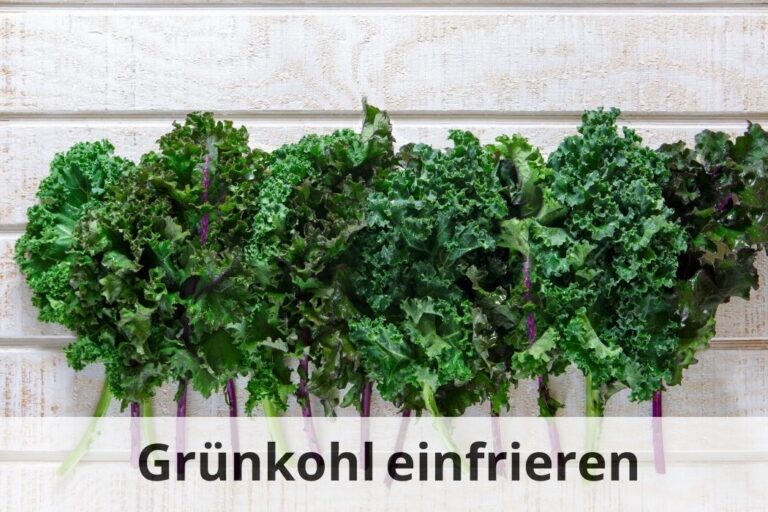 Frischer Grünkohl das ganze Jahr! Einfrieren leicht gemacht 🥬 Einfrieren Tipps