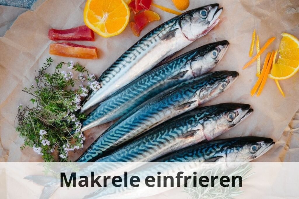 Makrele einfrieren 🐟 Tipps und Tricks für Frische Einfrieren Tipps