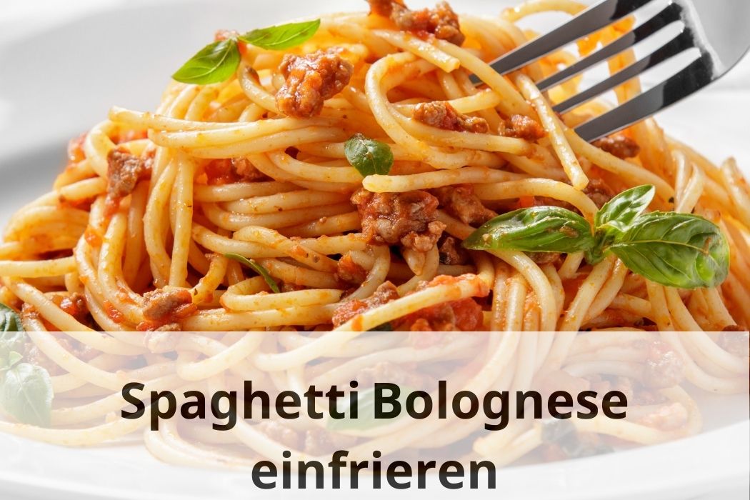 Spaghetti Bolognese einfrieren Tipps und Tricks! Einfrieren Tipps
