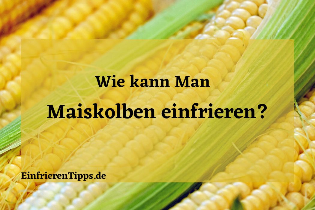 Kann man Spinat einfrieren? So bleibt er frisch und lecker. Einfrieren Tipps