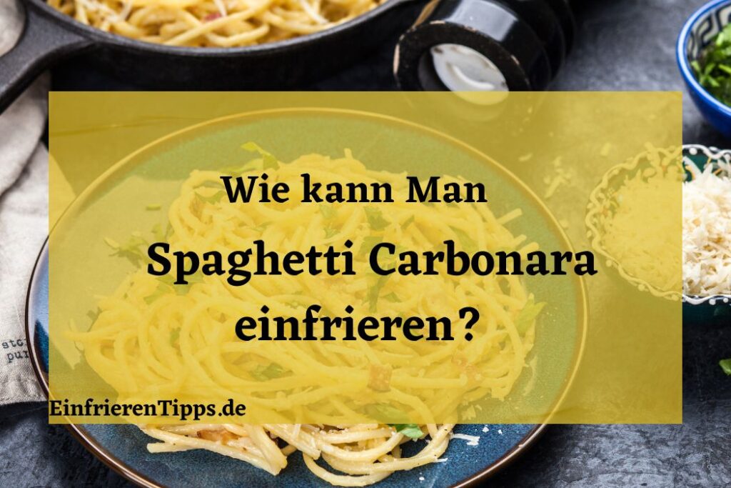 Spaghetti Bolognese einfrieren Tipps und Tricks! Einfrieren Tipps