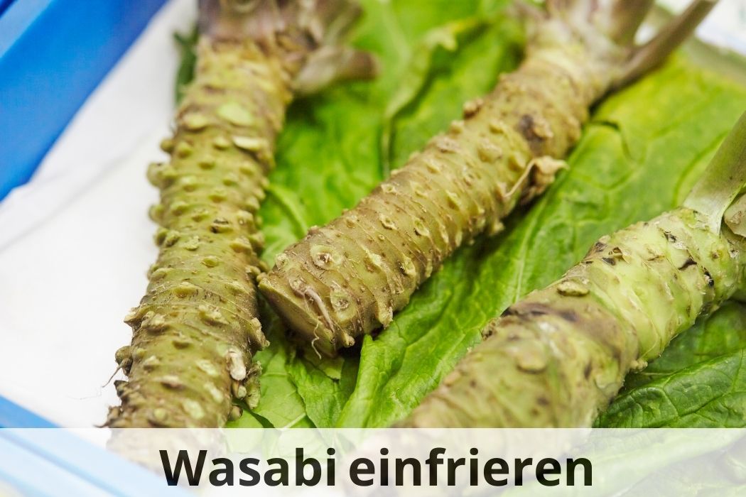 Wasabi länger haltbar machen Einfrieren als Lösung? 🌿 ️ Einfrieren Tipps