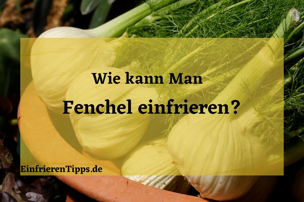 Fenchel einfrieren: So bleibt er knackig &amp; frisch ️🌿 | Einfrieren Tipps
