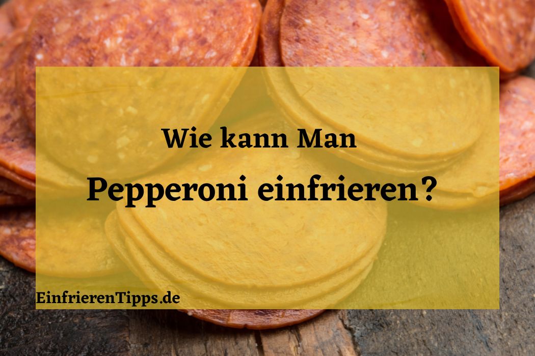 Immer fertiges Gulasch Einfrieren & später erwärmen Einfrieren Tipps