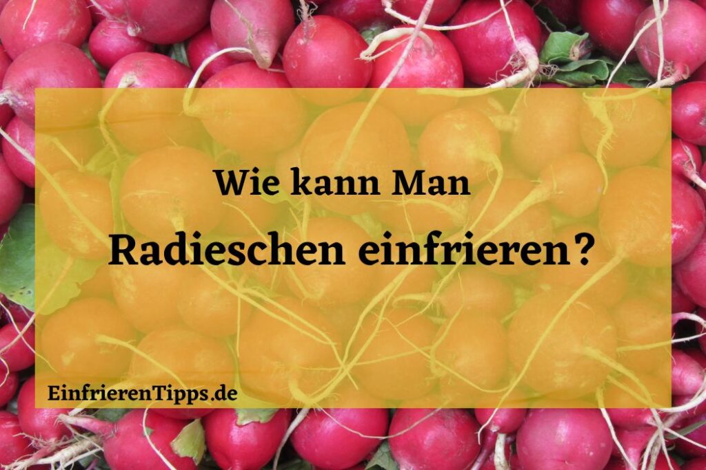 Radieschen für später Einfrieren & frisch halten Einfrieren Tipps