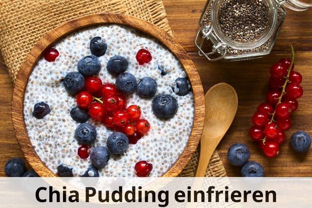 Gesunde Snacks jederzeit Chia Pudding einfrieren 🥄🕒 Einfrieren Tipps