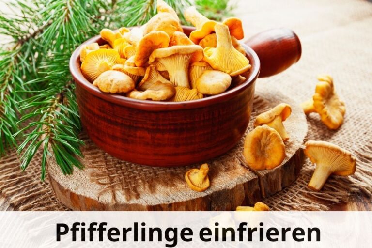 Pfifferlinge einfrieren Eine SchrittfürSchritt Anleitung 🍄 ️ Einfrieren Tipps