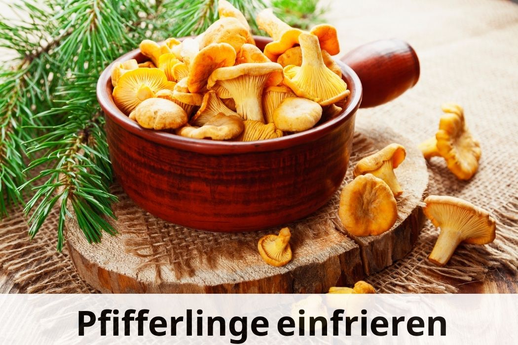 Pfifferlinge einfrieren: Eine Schritt-für-Schritt Anleitung 🍄 ️ ...